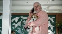 Click to watch 'Doggiecino Day Afternoon...' (popup) NCIS Sydney
